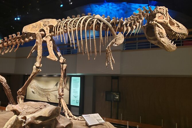 1 Day Drumheller Private Group Custom Tour: Calgary to Badlands - Key points to know before you go