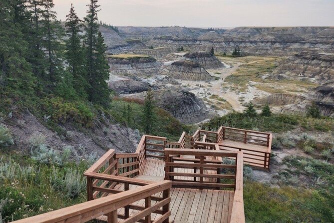 1 Day Drumheller Private Group Custom Tour: Calgary to Badlands - Summer-only: Horsethief Canyon, the ferry, and Orkney viewpoint