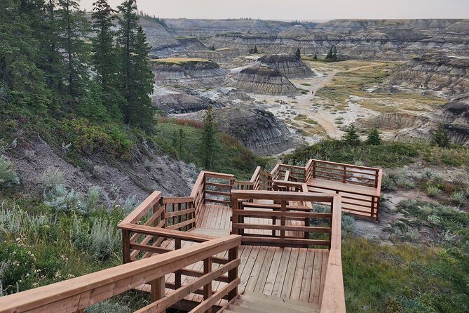 1 Day Guided Drumheller Tour: Calgary to Dinosaur Badlands - Rosedale Suspension Bridge: The Swaying Walk