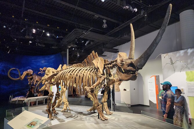 1 Day Guided Drumheller Tour: Calgary to Dinosaur Badlands - Horsethief Canyon and the Badlands Viewpoints That Don’t Need Hours