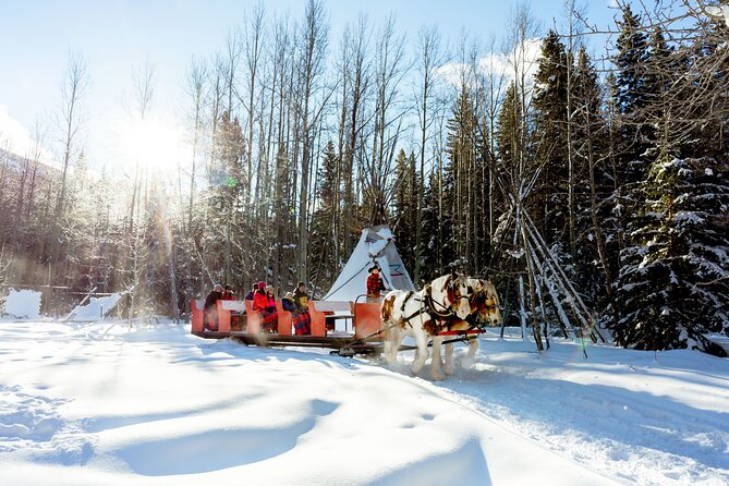1 Hour Shared Winter Sleigh Ride Experience in Kananaskis - The 30–45 Minute Sleigh or Wagon Ride: Slow Pace, Big Winter Views