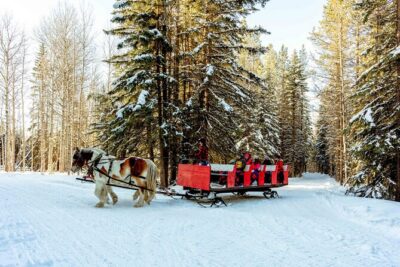 1 Hour Shared Winter Sleigh Ride Experience in Kananaskis - Boundary Ranch Start Point: Simple Setup, Real Winter Atmosphere