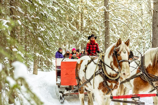 1 Hour Shared Winter Sleigh Ride Experience in Kananaskis - Canmore and Calgary Stops: Scenic, But No Big Effort