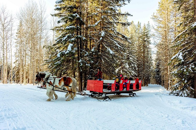 1 Hour Shared Winter Sleigh Ride Experience in Kananaskis - What to Wear and Bring for a Winter Sleigh Ride
