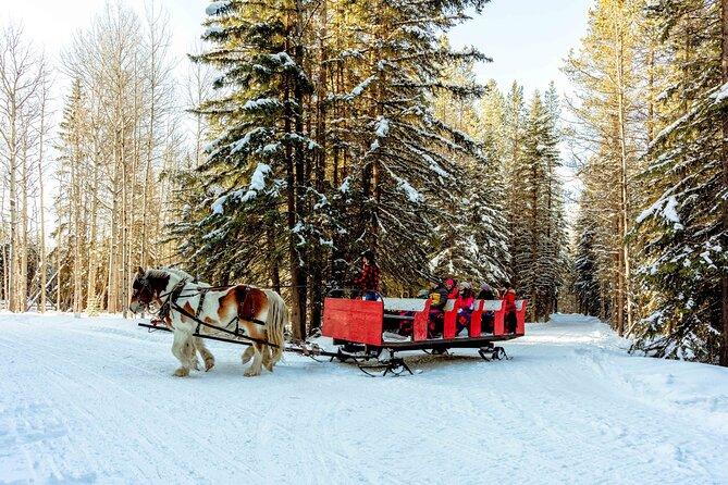 1 Hour Shared Winter Sleigh Ride Experience in Kananaskis - Boundary Ranch Start Point: Simple Setup, Real Winter Atmosphere