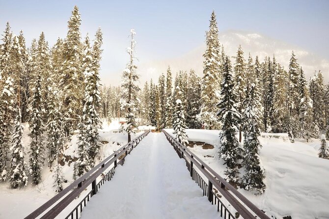 4-Day Rockies Discovery Tour Package, Banff, Jasper, and Yoho - Key highlights in 4 days