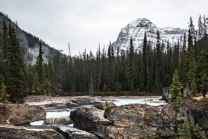 4-Day Rockies Discovery Tour Package, Banff, Jasper, and Yoho - Day 2: Icefields Parkway day—Crowfoot, Bow Lake, Columbia Icefield, then Jasper