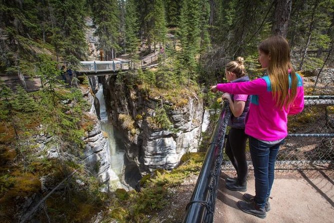 4-Day Rockies Explorer Tour Pkg: Banff, Columbia Icefield, Yoho - Group size and pacing: how up to 50 people affects your day