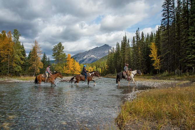 4 Hour Sulphur Mountain Horseback Ride - A few realistic drawbacks to plan around