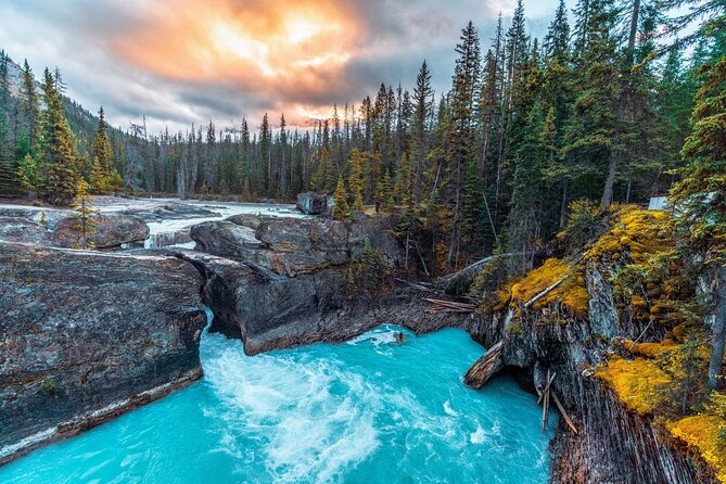 8 Iconic Stops. 12 Comfy Seats. See Banff's Best in First Class. - Peyto, Bow, and Crowfoot: The Short Stops That Add Up to Big Wow