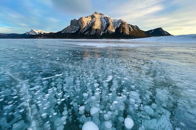 Abraham Ice Bubble/Sunwapta Falls,Snowshoeing,Icefield, Bow&Peyto - Peyto Lake: The Blue Color Everyone Comes Back For