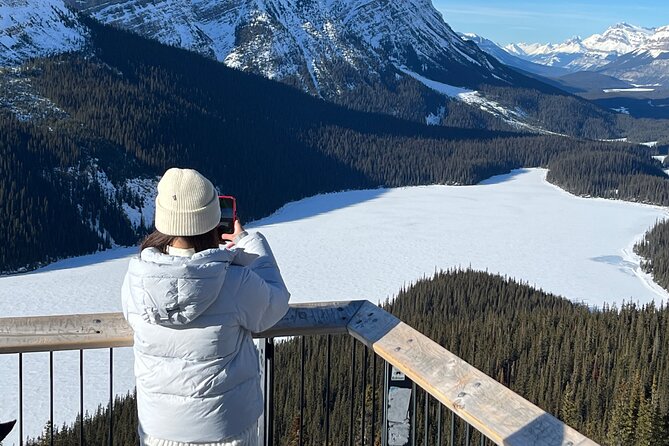 Abraham Ice Bubble/Sunwapta Falls,Snowshoeing,Icefield, Bow&Peyto - When Winter Takes Over: Weeping Wall and Icefield Alternatives
