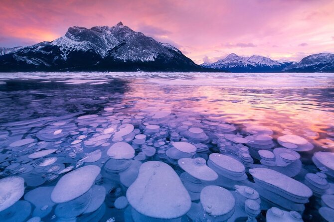 Abraham IceBubble, Peyto, Bow Lake with Snowshoeing& Icewalk - Quick Take: what makes this tour worth your time