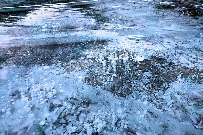 Abraham IceBubble, Peyto, Bow Lake with Snowshoeing& Icewalk - Stop-by-stop: how the route plays out in winter