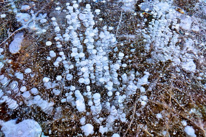 Abraham IceBubble, Peyto, Bow Lake with Snowshoeing& Icewalk - When weather changes the route, here’s what to expect