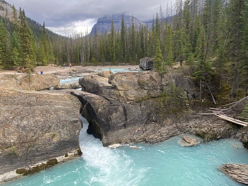 Abraham IceBubble, Peyto, Lake Louise, Bow Lake, Snowshoeing - Columbia Icefield and the Ice Explorer Adventure (Mostly the Summer Plan)