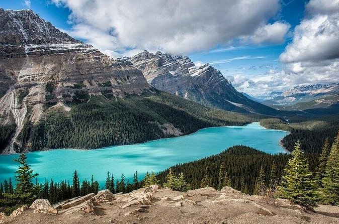 Along Icefields Parkway: Peyto Lake, Bow Lake & Columbia Icefield - Peyto Lake and Bow Summit: wolf-head shapes, tight timing