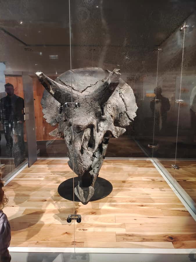 Badlands Tour: Drumheller with Museum, Hoodoos & Coal Mine - Drumheller town breaks: T-Rex scale, quick shopping, and easy lunch