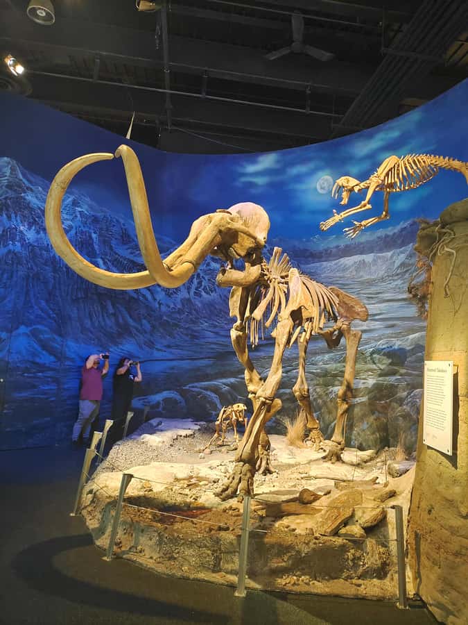 Badlands Tour: Drumheller with Museum, Hoodoos & Coal Mine - How the guide shapes your day (and why it matters)
