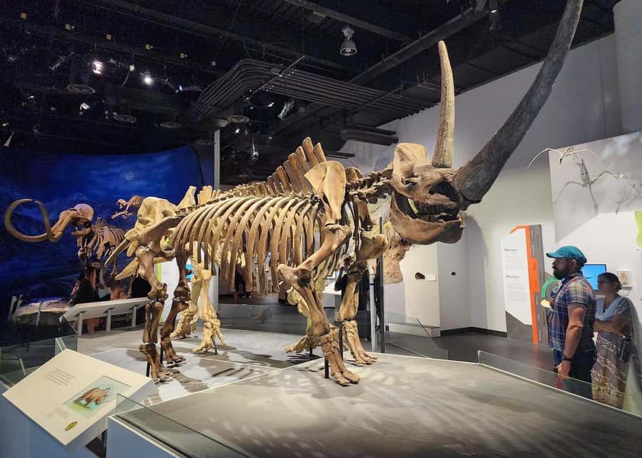 Badlands Tour: Drumheller with Museum, Hoodoos & Coal Mine - Price and value: what $126 gets you for a 10-hour day