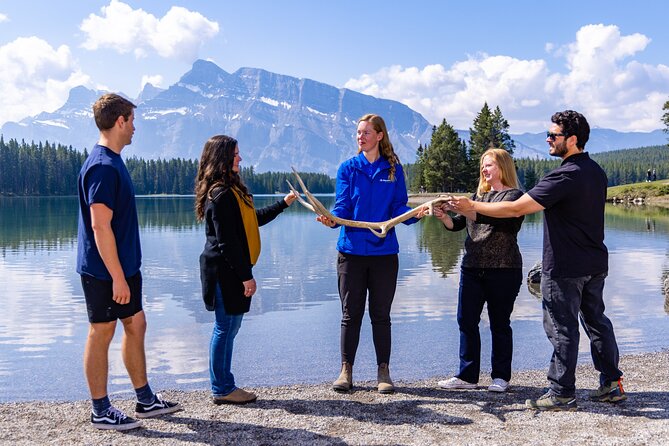 Banff and its Wildlife - Year Round Tour - A Banff morning route that gives you context fast