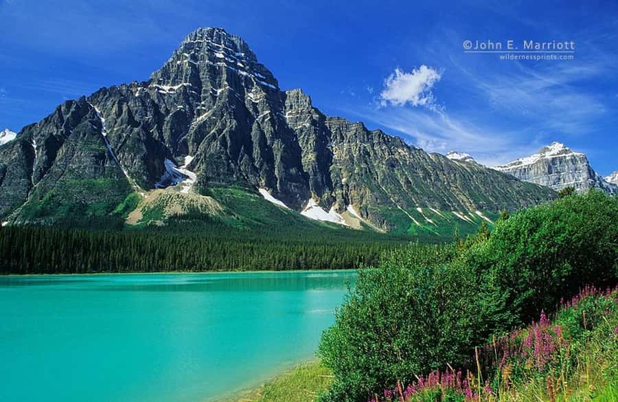 Banff and Jasper National Parks: Tour with Transport - Crowfoot Glacier, Bow Lake, and Waterfowl Lake: Photo Stops That Feel Like Real Places