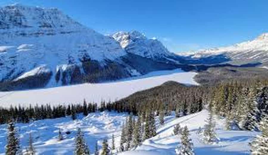 Banff and Jasper National Parks: Tour with Transport - Columbia Icefield: The Athabasca Glacier and the Glacier Discovery Centre