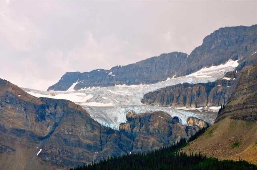 Banff and Jasper National Parks: Tour with Transport - Pickup in Calgary, Banff, or Canmore: Start Times and a Smooth First Hour