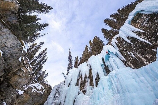 Banff Area & Johnston Canyon 1-Day Tour from Calgary or Banff - Sulphur Mountain Gondola: Optional, Popular, and Easy to Mis-time