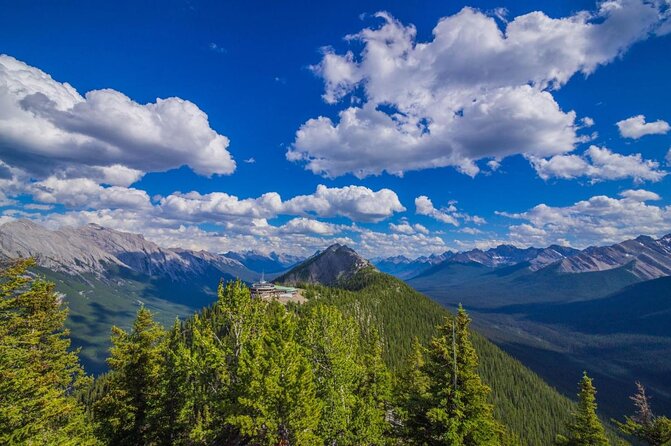 Banff Area & Johnston Canyon 1-Day Tour from Calgary or Banff - Banff Town and Banff Avenue Free Time: The Part That Makes It Feel Like a Visit