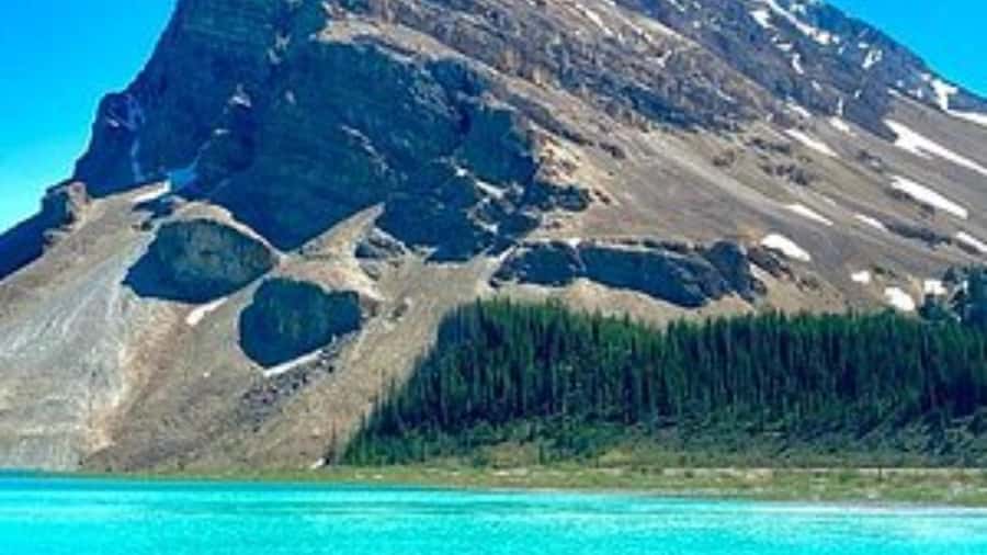 Banff/Calgary/Canmore: Crowfoot Glacier and 5 Lakes Tour - Crowfoot Glacier: what a half-hour guide time lets you do