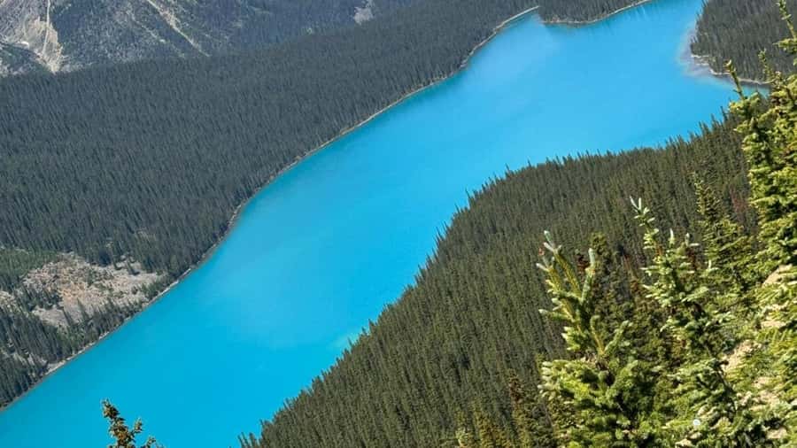 Banff/Calgary/Canmore: Crowfoot Glacier and 5 Lakes Tour - Peyto Lake: turquoise photos that don’t get old