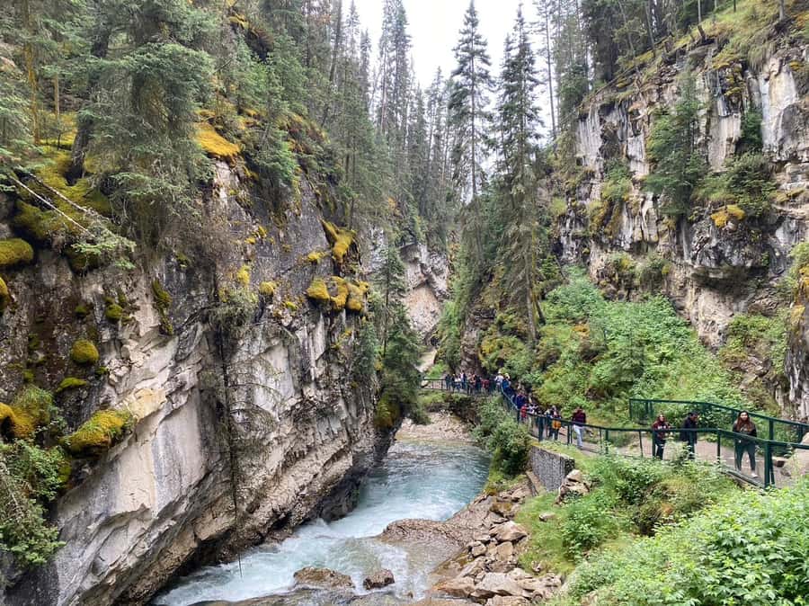 Banff/Canmore: Moraine Lake 1.5h & Lake Louise Half-Day Tour - Lake Louise: 75 minutes for views, walking, and photos