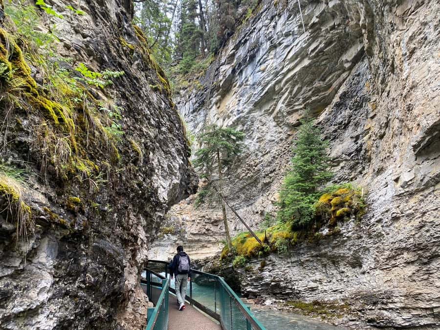 Banff/Canmore: Moraine Lake 1.5h & Lake Louise Half-Day Tour - Who this tour fits best (and who might want another plan)