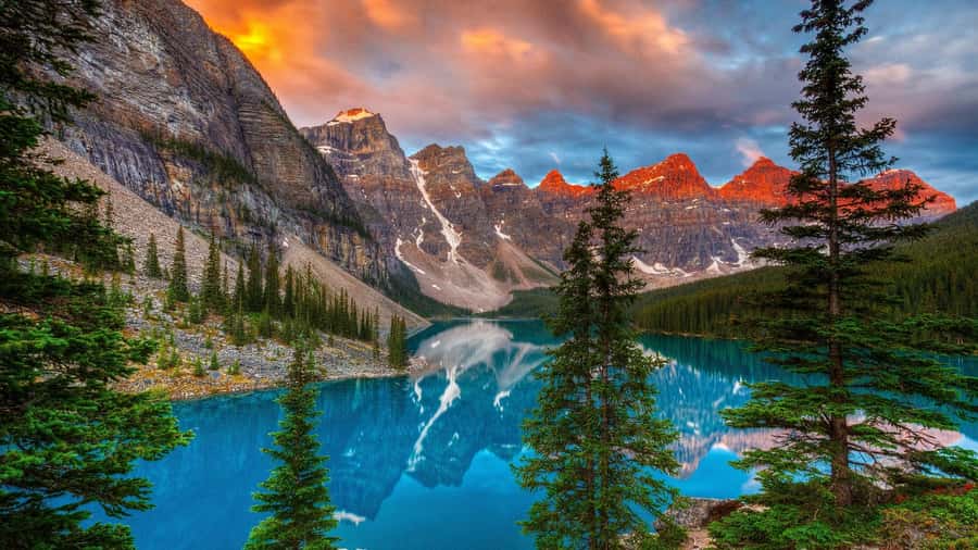 Banff/Canmore: Moraine Lake 1.5h & Lake Louise Half-Day Tour - Pickup in Banff or Canmore: fixed times, easy start