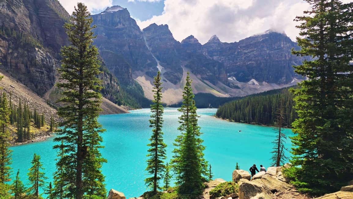 Banff/Canmore Moraine Lake & Lake Louise-Hike/Canoe/Sightsee - Banff National Park Wildlife Corridor: How to Get the Most Out of the Drive