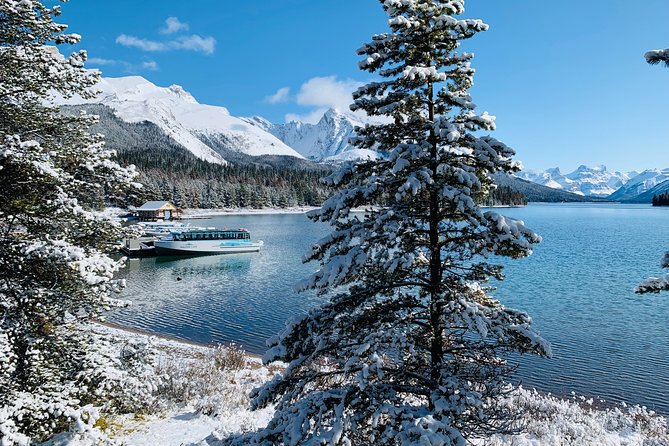 Banff (Canmore) to Calgary Public Shuttle - Safety and service style: what the ride tends to feel like