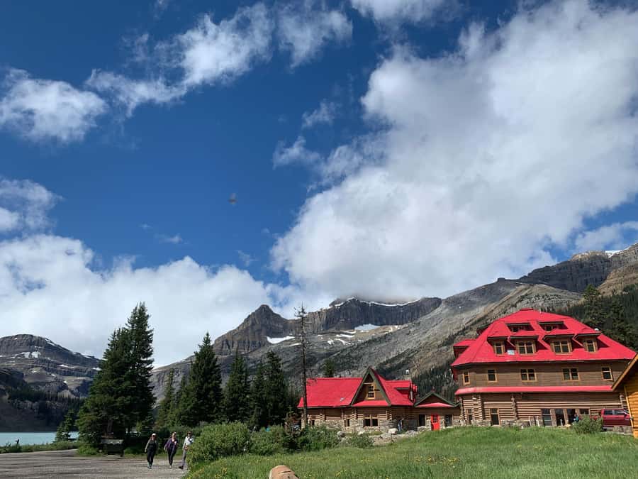 Banff: Columbia Icefield, Skywalk, Parkway, Bow & Peyto Lake - The Ice Explorer ride: the practical reason it’s worth extra money