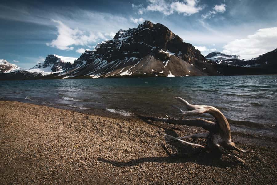 Banff: Columbia Icefield, Skywalk, Parkway, Bow & Peyto Lake - Peyto Lake: turquoise water that makes the photos easy