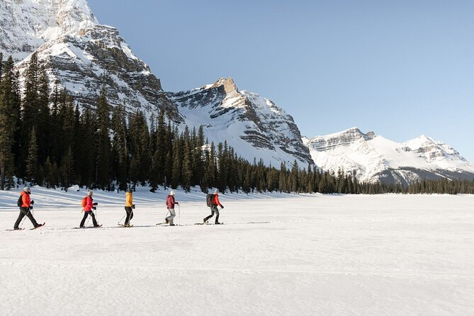 Banff Day Trip: Johnston Canyon, Fairmont Banff Springs, Gondola - Pacing and group vibe: guides can make or break the day