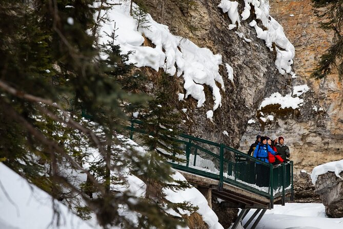 Banff Day Trip: Johnston Canyon, Fairmont Banff Springs, Gondola - Who this Banff day trip fits best