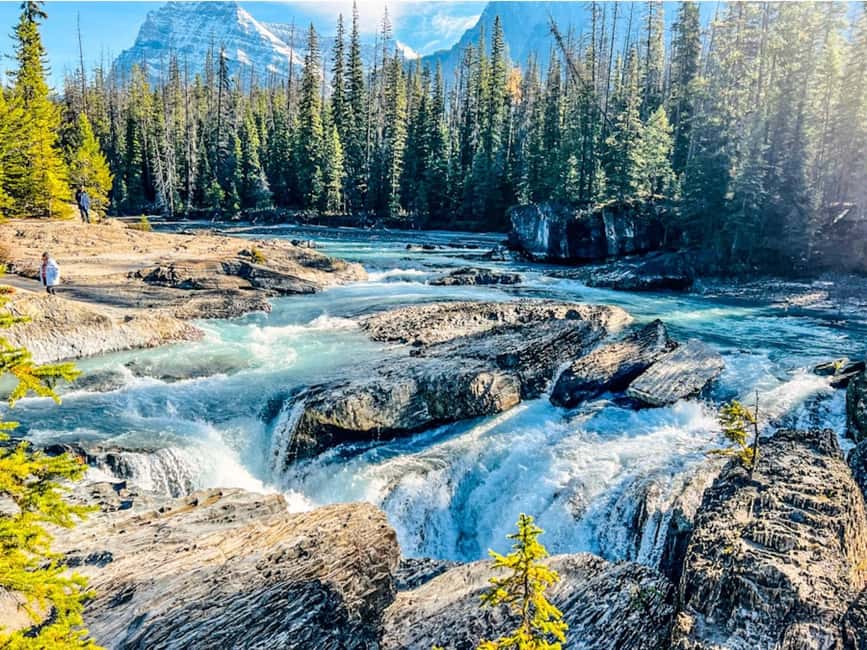 Banff: Emerald Lake, Wapta Falls & Takakkaw Falls Day Trip - Winter Safety: Hot Drinks and Crampons Actually Matter