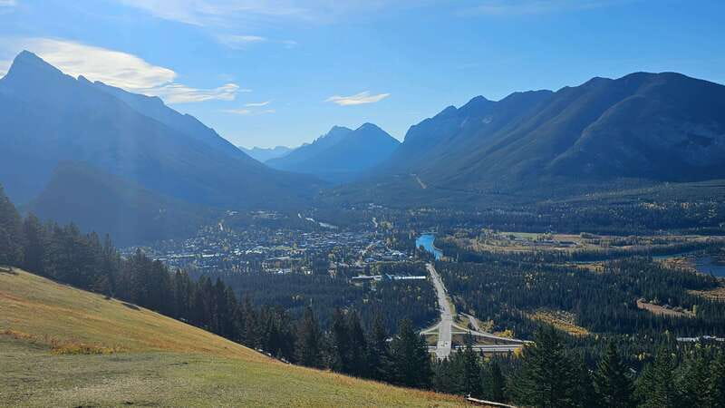 Banff: Evening Wildlife Safari Guided Tour - How the evening safari works in Banff National Park