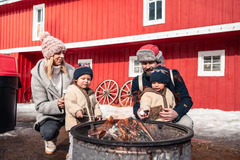 Banff: Family Friendly Horse-Drawn Sleigh Ride - Key points you’ll actually care about