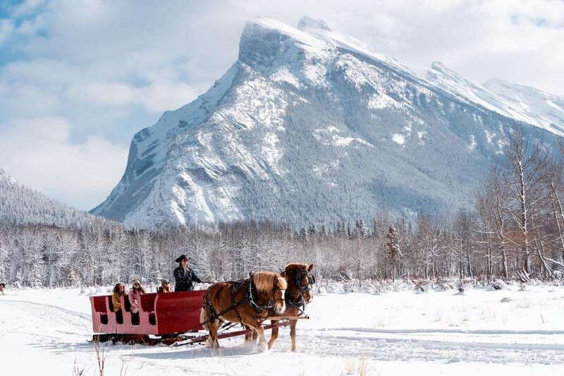 Banff: Family Friendly Horse-Drawn Sleigh Ride - Price and value: is $39 per person a good deal?