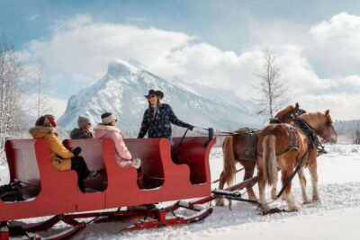Banff: Family Friendly Horse-Drawn Sleigh Ride - From check-in to the sleigh: what happens during your 40 minutes