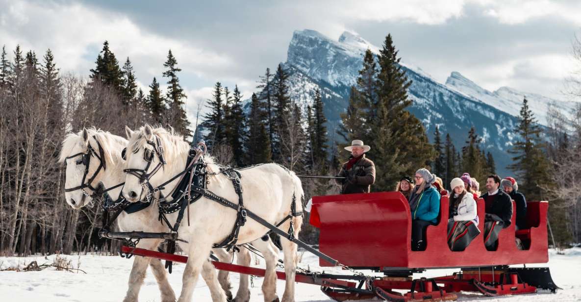 Banff: Family Friendly Horse-Drawn Sleigh Ride - The fireside warm-up: hot drinks and campfire comfort