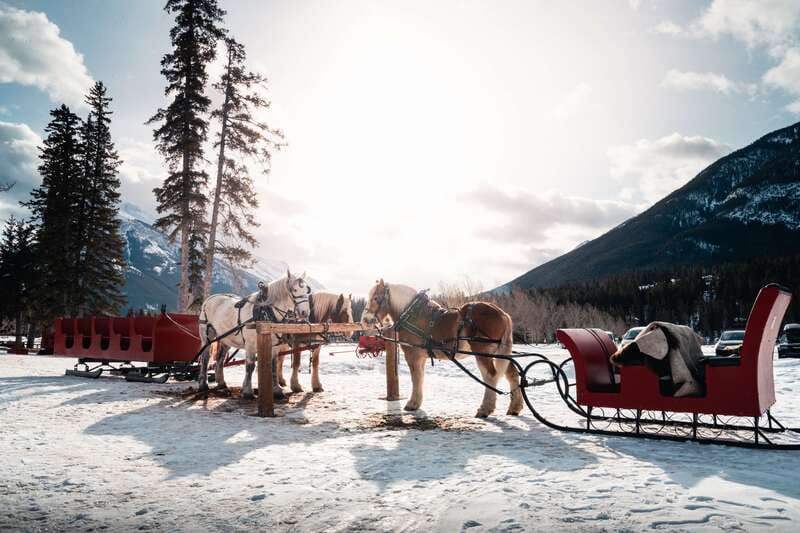 Banff: Family Friendly Horse-Drawn Sleigh Ride - Real talk about the route and how weather can change everything