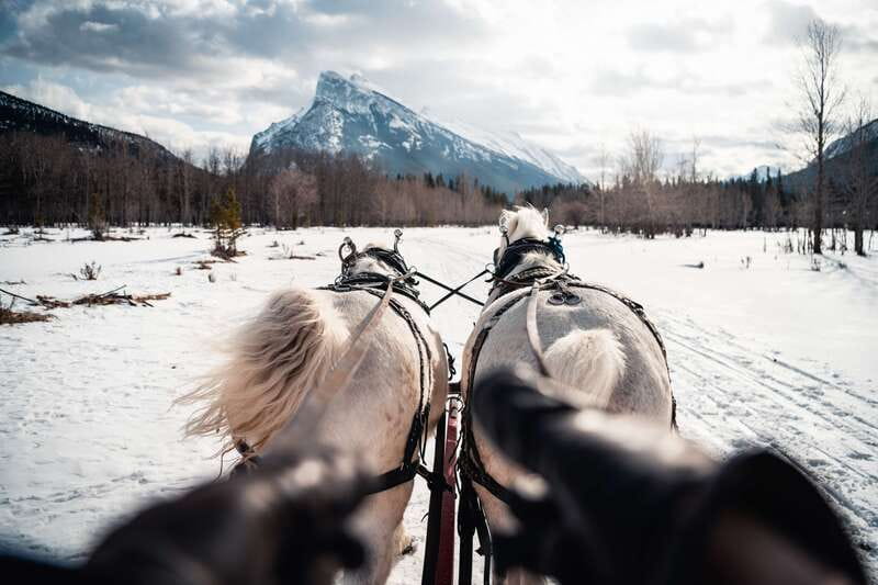 Banff: Family Friendly Horse-Drawn Sleigh Ride - What to bring: your warm-clothes checklist for sitting still