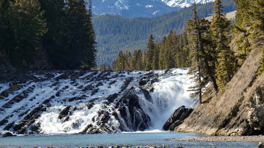 Banff: Gondola Ticket and Johnston Canyon Hiking Tour - Hoodoos and Bow Falls: Quick Stops with Big Payoff